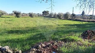 Terreno de 4050 m² em Castelo Branco