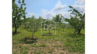 Land for sale in Lamego, Portugal — €110,000