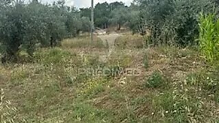 Land for sale in Rio Maior, Portugal — €53,000