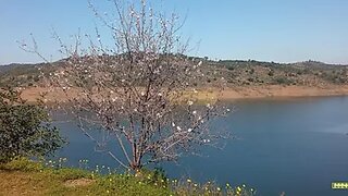 Land for sale in Castro Marim, Portugal — €24,000