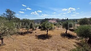Terreno em Almeida