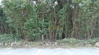 Land for sale in Mangualde, Portugal — €42,500