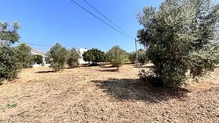 Land for sale in Torres Novas, Portugal — €120,000