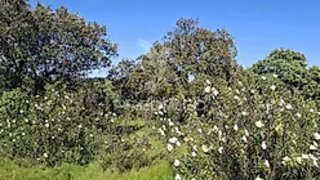 Land for sale in Alandroal, Portugal — €41,150