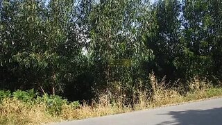 Land for sale in Coimbra, Portugal — €189,900
