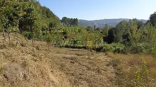 Land for sale in Marco de Canaveses, Portugal — €39,500