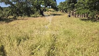 Land for sale in Santiago do Cacém, Portugal — €165,000