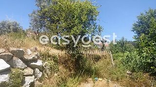 Land for sale in Viseu, Portugal — €71,150