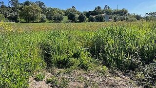 Land for sale in Tomar, Portugal — €37,000
