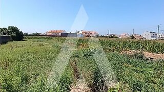 Land for sale in Oliveira do Bairro, Portugal — €220,000