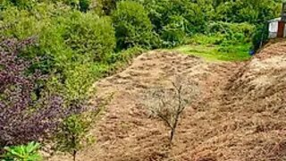 Terreno em Sever do Vouga