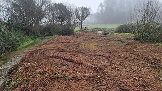Land for sale in Barcelos, Portugal — €60,000