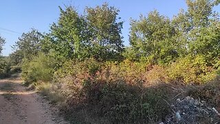 Land for sale in Ourém, Portugal — €10,000