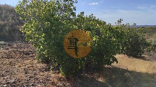 Land for sale in Castro Marim, Portugal — €26,000