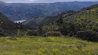 Terreno em Mogadouro