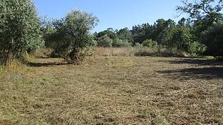 Land for sale in Condeixa-a-Nova, Portugal — €62,500