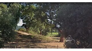 Land for sale in Palmela, Portugal — €1,250,000