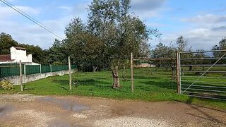 Terreno em Santarém · 15 000 m² · 300 000 €