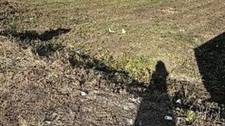 Land for sale in Vila Nova de Gaia, Portugal — €70,000