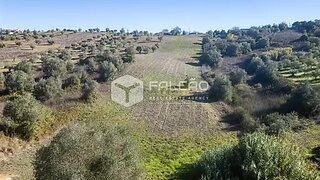 Terreno de 12 280 m² em Santarém