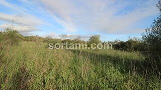 Terreno · 24 080 m² · 240 000 €