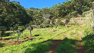 Land for sale in Machico, Portugal — €400,000