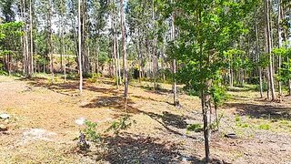 Terreno em Viana do Castelo · 4537 m² · 165 000 €
