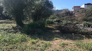 Land for sale in Albergaria-a-Velha, Portugal — €100,000