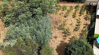 Land for sale in Gavião, Portugal — €12,500