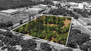 Land for sale in Cartaxo, Portugal — €380,000