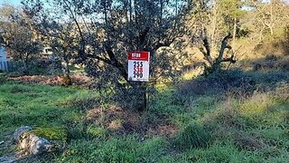 Land for sale in Vila Nova de Cerveira, Portugal — €65,000