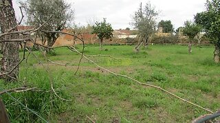 Land for sale in Abrantes, Portugal — €35,000