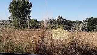 Terreno em Aveiro · 3120 m² · 100 000 €