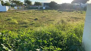 Land for sale in Grândola, Portugal — €265,000
