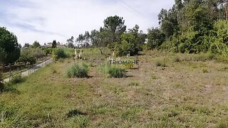 Terreno para venda em Alcobaça, Portugal — 175 000 €