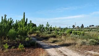 Land for sale in Oliveira do Hospital, Portugal — €10,000