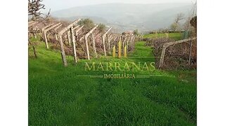 Land for sale in Baião, Portugal — €78,000