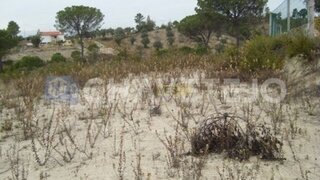 Land for sale in Tomar, Portugal — €30,000