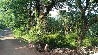 Land for sale in Penela, Portugal — €17,500