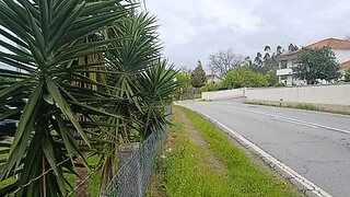 Land for sale in Barcelos, Portugal — €168,000
