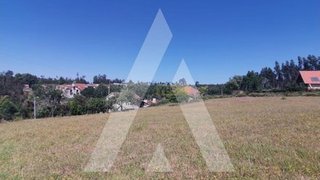 Land for sale in Albergaria-a-Velha, Portugal — €35,000