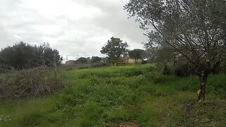 Land for sale in Tomar, Portugal — €25,000