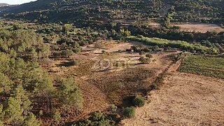 Terreno · 290 m² · 15 000 €