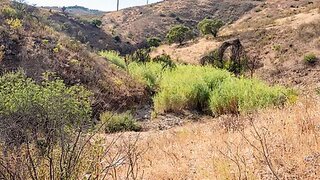 Land for sale in Tavira, Portugal — €45,000