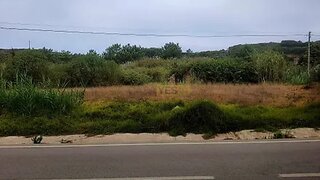 Land for sale in Alcobaça, Portugal — €200,000