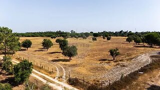 Land for sale in Benavente, Portugal — €300,000