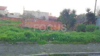 Land for sale in Ílhavo, Portugal — €74,000