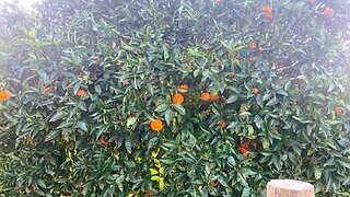 Land for sale in Portimão, Portugal — €300,000