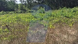 Terreno em Oliveira do Bairro