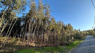 Land for sale in Alvaiázere, Portugal — €30,000